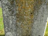 image number Lott Susan 325